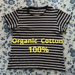● TOP VALU オーガニックコットン半袖Tシャツ Lサイズのサムネイル