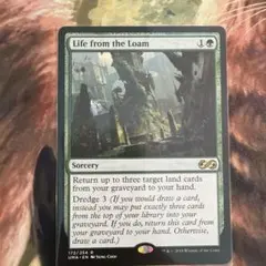 MTG JUD 不可思議 日本語版 4枚 - メルカリ