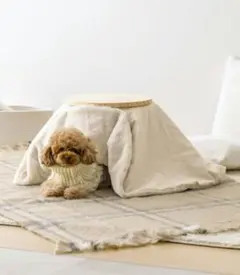 スリーコインズ3COINS  こたつ ペット 犬 猫