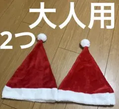 大人用サンタ帽子 2個セット 赤 フリース　送料込み匿名配送