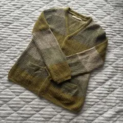 Inpaichthys kerri カーディガン