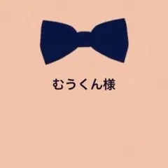 むうくん【ご購入時プロフ要確認】様