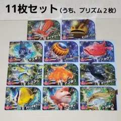 Item thumbnail for item 492c07fa-1a9d-4616-b4c9-eb34e01d30b2