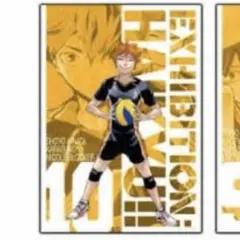 ハイキュー展 日向翔陽 ポスター