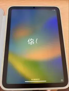 Ipad MiNi 6