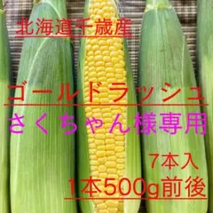 【さくちゃん様専用】北海道産とうもろこし（ゴールドラッシュ）7本