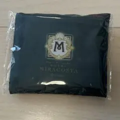 ディズニー　ミラコスタ　アメニティ　エコバッグ