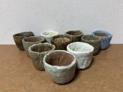 Item thumbnail for item 27111d40-9135-412a-89bb-c6e3a1452453