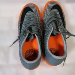 Item thumbnail for item 98b96437-9870-41c2-b8e6-07d4dc208e8d