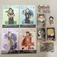 【澤村大地・菅原孝支・東峰旭・西谷夕】ハイキュー　みんなの背番号　アニメイト
