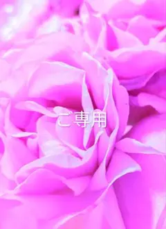 purin様 リクエスト 2点 まとめ商品