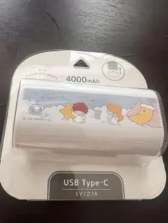 【新品】キキララ USB Type-C コネクタ付き リチウムイオン充電器のサムネイル