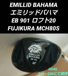 2025年最新】エミリッドバハマの人気アイテム - メルカリ