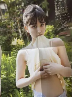 Item thumbnail for item d247cf20-a346-4271-aa6a-516565b89b33