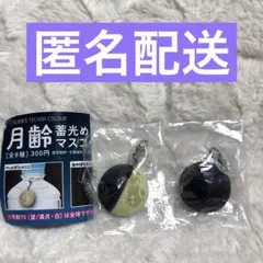 月齢蓄光めじるしマスコット 月齢7 （上弦/半月）月齢0 （朔/新月）