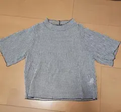 Item thumbnail for item 0c7bce16-b508-4338-94de-ca9cef461cc9