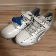 Mizuno エックススピリット 左25.0、右26.0