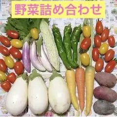 新鮮野菜セット　野菜詰め合わせ　60サイズ aのサムネイル