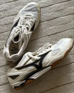 MIZUNO＊バレーボールシューズ 27.5cm