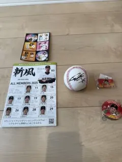 GIANTS 選手サイン入り野球ボール　中山礼都　サイン　ボール 2025年最新】中山礼都 サインの人気アイテム - メルカリ