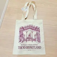 新品タグ付き　東京ディズニーランド　トートバッグ　ワールドバザール　シンデレラ城