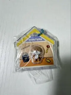 SEVENTEEN MINITEEN パッケージチャーム ディノ