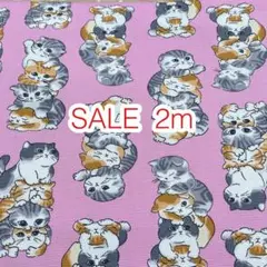 ラスト3点 SALE 2m ぎゅうぎゅう猫 ピンク オックス