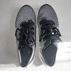 ナイキ ペガサス 27.5