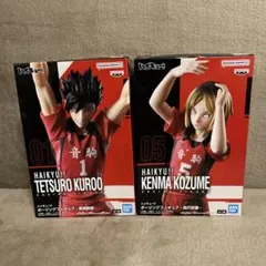 ハイキュー ポージング フィギュア 黒尾鉄朗 孤爪研磨 2体セット