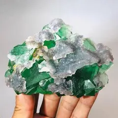 Altyn-Tyube産 ダイオプテーズ 水晶共生 台座付 Altyn-Tyube産 ダイオプテーズ 水晶共生 台座付 - メルカリ