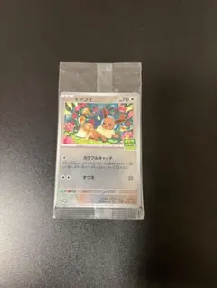 イーブイ ポケカバトルをはじめよう 未開封