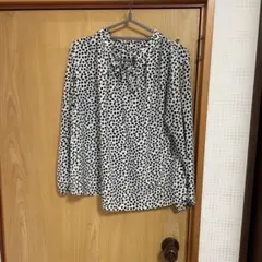 Item thumbnail for item 0b1c7499-6405-4871-b87a-a06c893e50fd