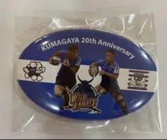 2026年最新】パナソニックワイルドナイツの人気アイテム - メルカリ