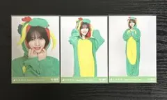 乃木坂46 林瑠奈 生写真 2024 干支 3種コンプ