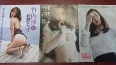 竹内渉のピンナップ写真