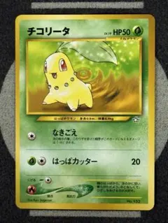 【プレミアムファイル】チコリータ