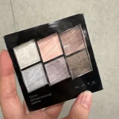 KATE トーンディメンショナルパレット EX-4