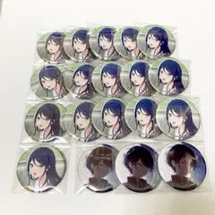 ☆*迎様 プロセカ　グリッター缶バッジ　vol.41,42A 星乃一歌　19点