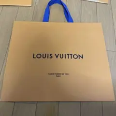 LOUIS VUITTON ショップ袋 大きめ オレンジ　即日発送⭕️ 未使用