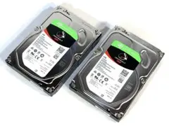 シーゲイト 4.0TB IRON WOLF NAS ST4000VN008 2台
