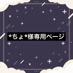 *ちょ*様専用ページ