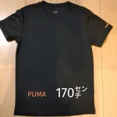 プーマ　Tシャツ　170㌢のサムネイル