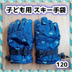 Item thumbnail for item 149a7ccc-b1d9-4af4-be1a-eea31c7e8f66