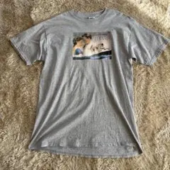 新品 TRANS ANTARCTICA Tシャツ 南極大陸横断隊 - メルカリ