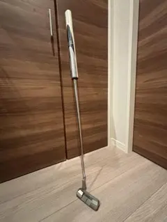 Item thumbnail for item 069ae77f-1be1-4670-be8e-1a487f16e4f0