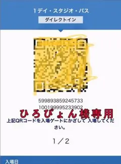 USJ ひろぴょん様専用 4/27 大人2名