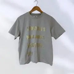 ☆美品☆ サニークラウズ　ビューティフルデイTシャツ フェリシモ MPのサムネイル
