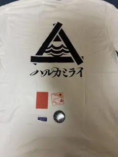 【Lサイズ】ハルカミライ 古着風ロンT ステッカー グッズセット