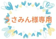 うさみん様 リクエスト 2点 (14CT、図案印刷あり)