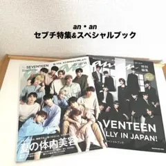 seventeen anan　スペシャルブック　両面フォトカード 16枚売り seventeen anan スペシャルブック 両面フォトカード 16枚売り